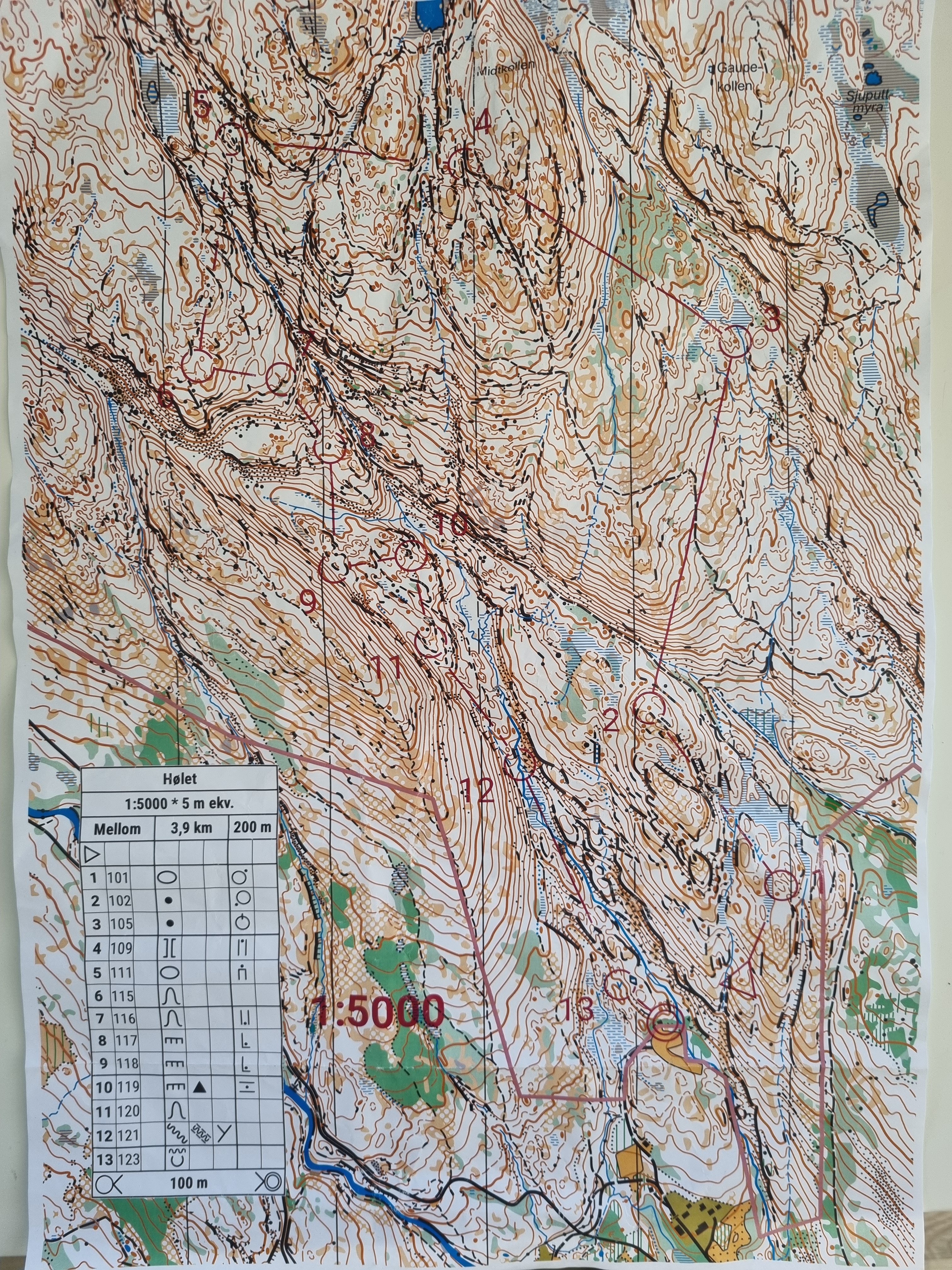 GeoForm/OSI Rankingløp 14 (17/10/2021)