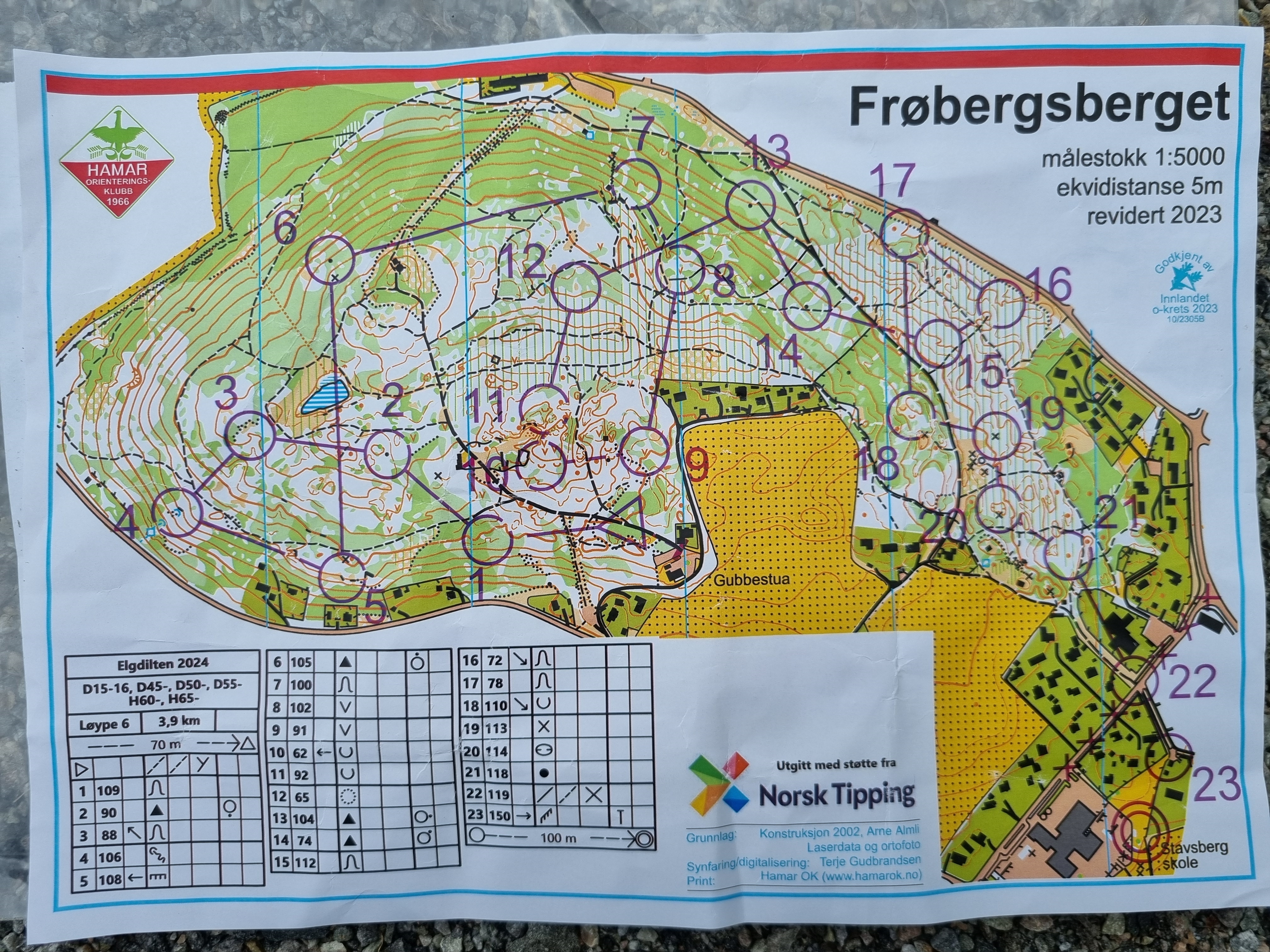 Elgdilten (19.05.2024)