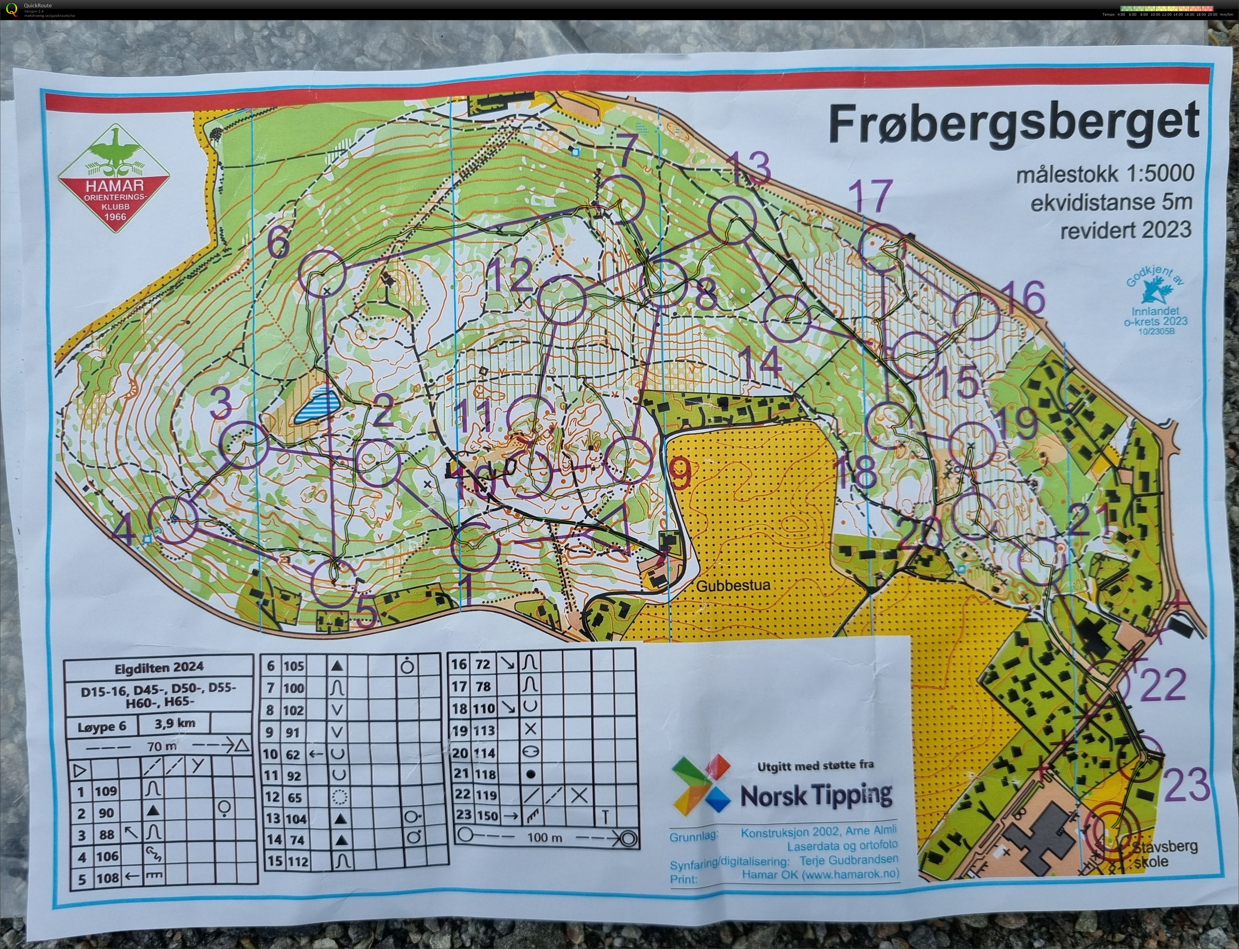 Elgdilten (19.05.2024)