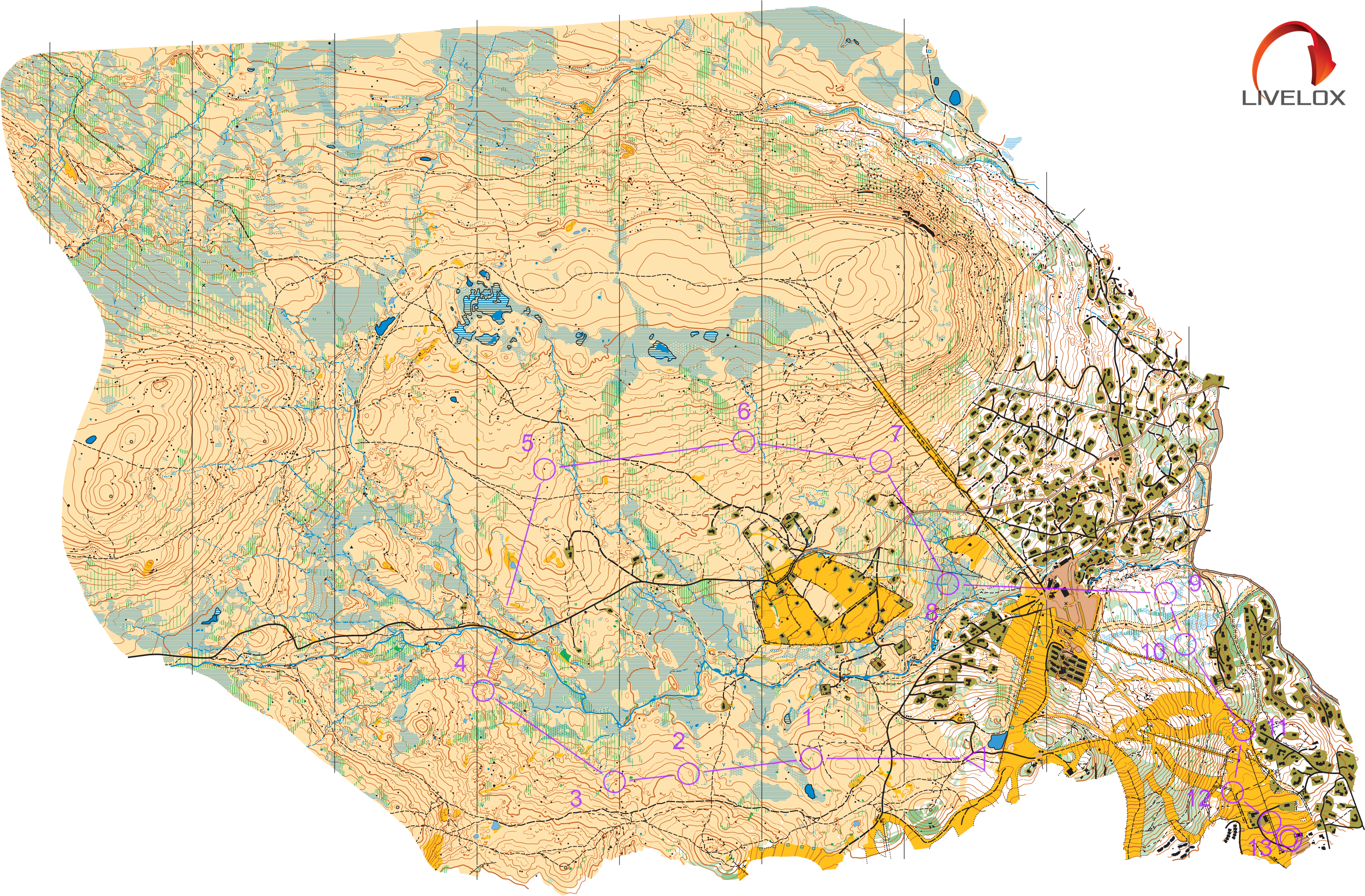 O-festivalen 2025 (22.06.2025)